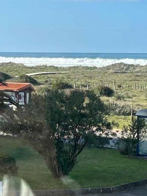 Playa De Berria -Apartamento Con Piscina Y Vistas Al Mar Santoña Eksteriør bilde